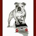 Watercolor Painting - Skateboarding Bulldog Illustration