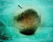 Apple Photography - Fine Art Print - Turquoise, Vibrant Green, Delicious Apple, Food Photo, 5X7