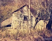 Fall In Two - SALE ONE LEFT 8x10 Urban rural photography photo shack rusty rustic antique nature trees wooded home decor wall art country
