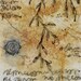 May 10, 2012 / Daily Drawing On Teabag