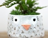 Owl Planter Pot Porcelain Pottery  Ceramic Cutest Container Perfect Gift MADE TO ORDER