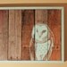 Reclaimed Wood Owl Painting in SeaFoam Green