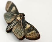 Moth Pin Insect Brooch Brown Woodland Moth Bug Nerd Jewelry Earthtone
