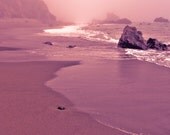 Bodega Bay