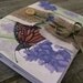 Watercolor butterfly reprint greeting card set of 5 gift idea