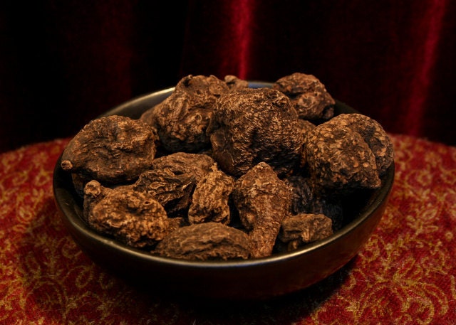 Small High John the Conqueror Root - Hoodoo - Power - Luck - Money - Love -Sex - Spell - Magic - Wicca - Witchcraft