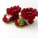 Baby Girl red  Baby Booties with strawberry decoration - baby shower gift