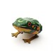 Vintage German Tin Frog, Wind Up Toy, 1940s Made in US Zone Germany