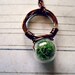 Moss Terrarium Vintage Brass Ring