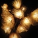 20 White Carnation Flower Fairy STRING LIGHTS Wedding Party Floral Home Decor 3.5m
