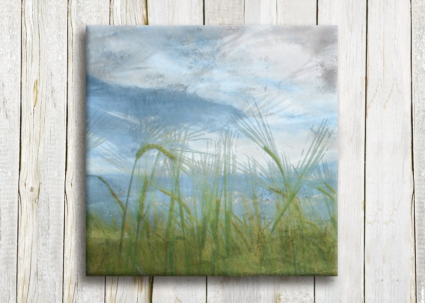 Green fields, Blue skies, Framed art, 12"/12"