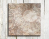 Nautical art - brown shades - Sea shell art - 12"/12" - 30/30 cm - hayagold