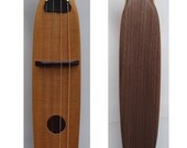 Custom Designed Walking Stick Instrument