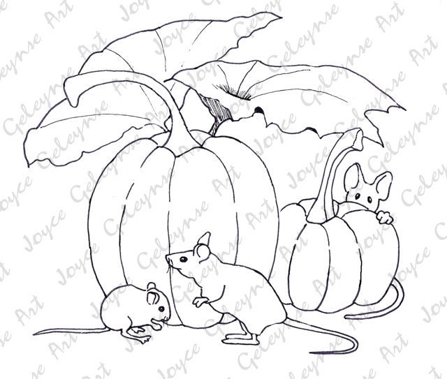 Pumpkin Patch Drawing