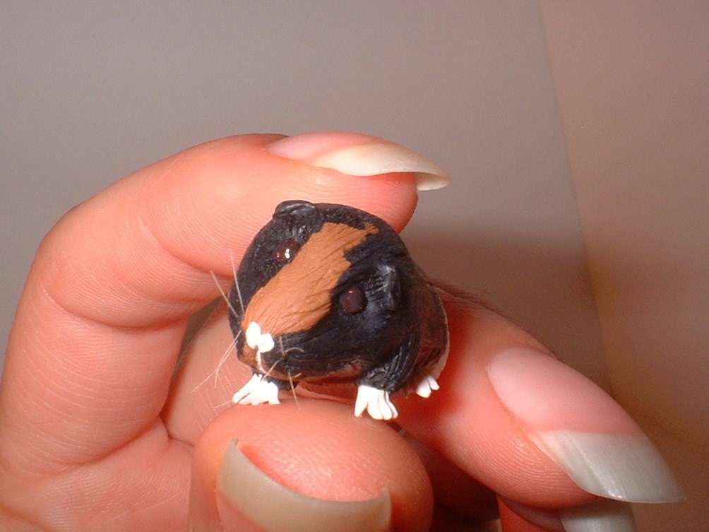 Black, Brown and White tiny guinea pig for Hitty dolls, polymer clay pet by -TES-