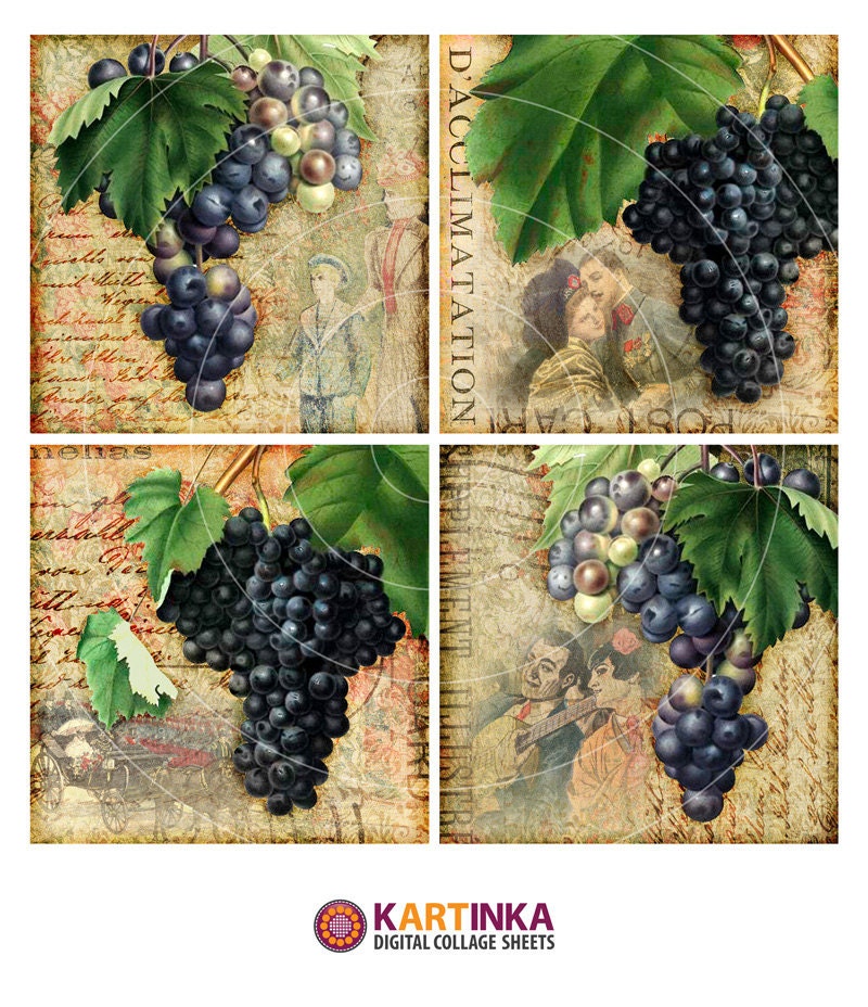 VINTAGE GRAPES STORIES - 3.8x3.8 inch Digital Collage Sheet Printable Download for Coasters Magnets Greeting Cards (available 4x4 inch)
