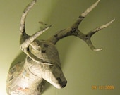 Paper Mache Faux Taxidermy - Buck Head