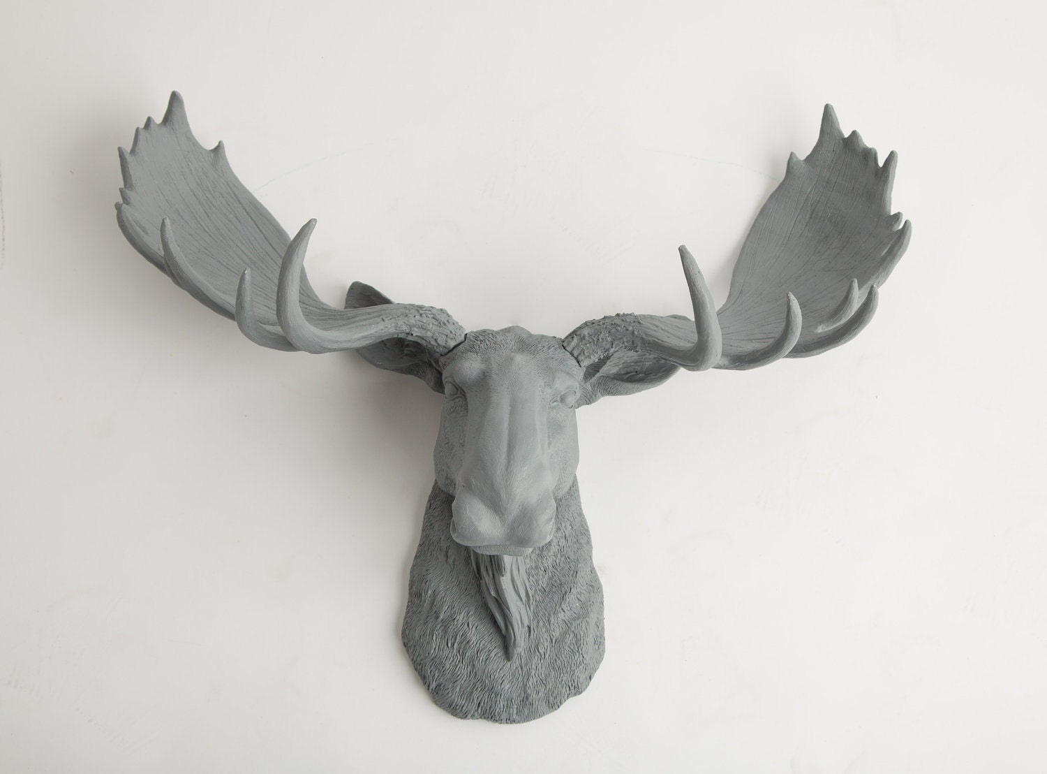 Moose Head - The Wellington - Gray Resin Moose Head- Moose Resin Grey Faux Taxidermy- Chic & Trendy