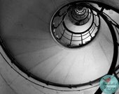 Spiral Black and White Staircase Sea Shell Abstract 8x10 Photograph - BreakebleDesigns