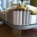 Sale FREE SHIPPING...Hollywood Style hand painted dog pet bed with hand painted cushion - Gray and White with Mosaic Bone