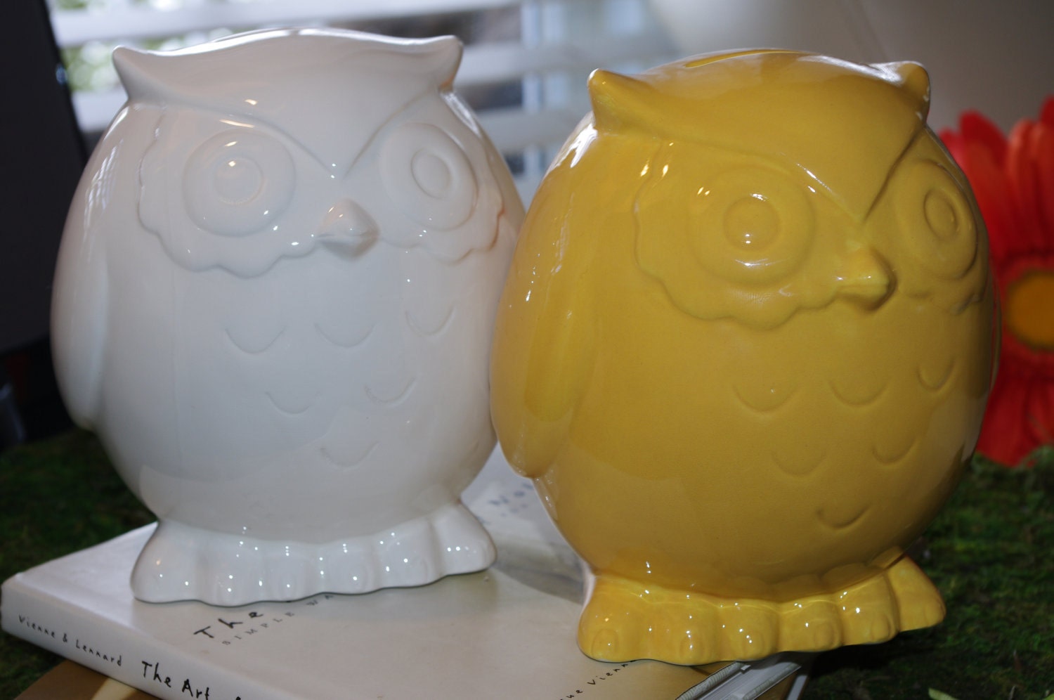 Owl Bank