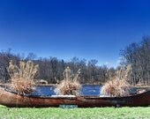 OLD GLORY. Retired canoe outdoors on the side of a lake. FREE shipping to the lower 48