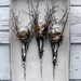Mixed Media Antique Doll and Bird Nest Shadow Box  Assemblage