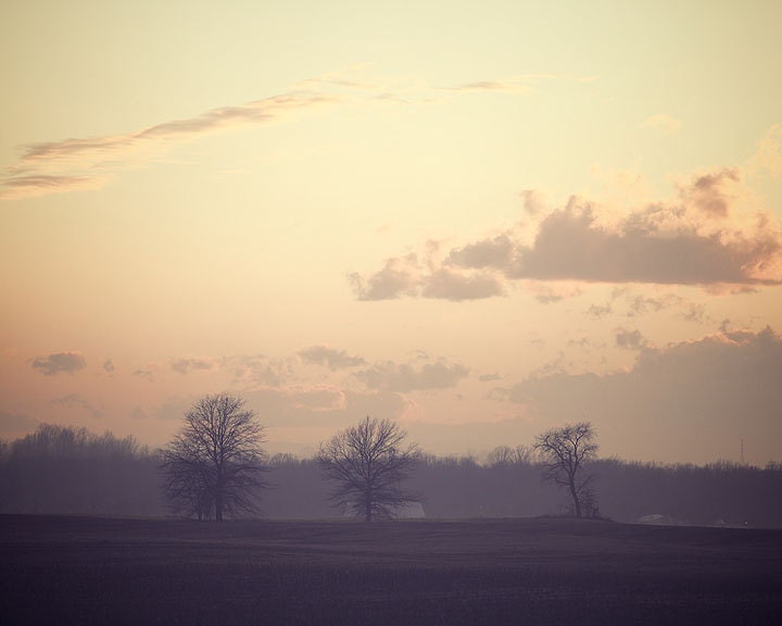 Three Trees - Landscape Photography - Nature Art Prints - Tree Wall Art - Classic Home Décor