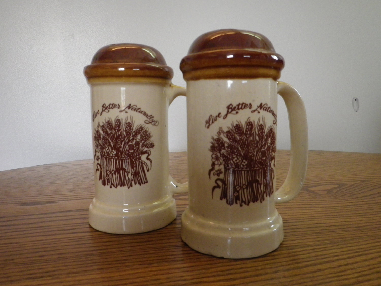 SALE 1977 Vintage Enesco Salt and Pepper Shakers