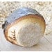 Natural bark, double curve candle holder