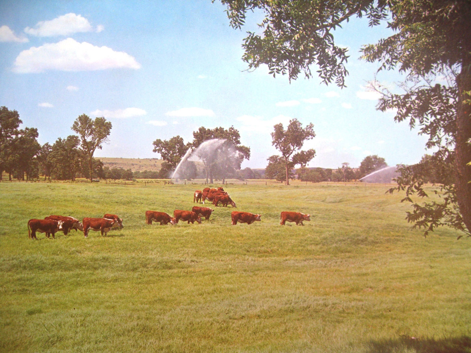 Vintage Poster Print Historic Nature and Agriculture Advertisement (Oklahoma) SHIPPING INCLUDED