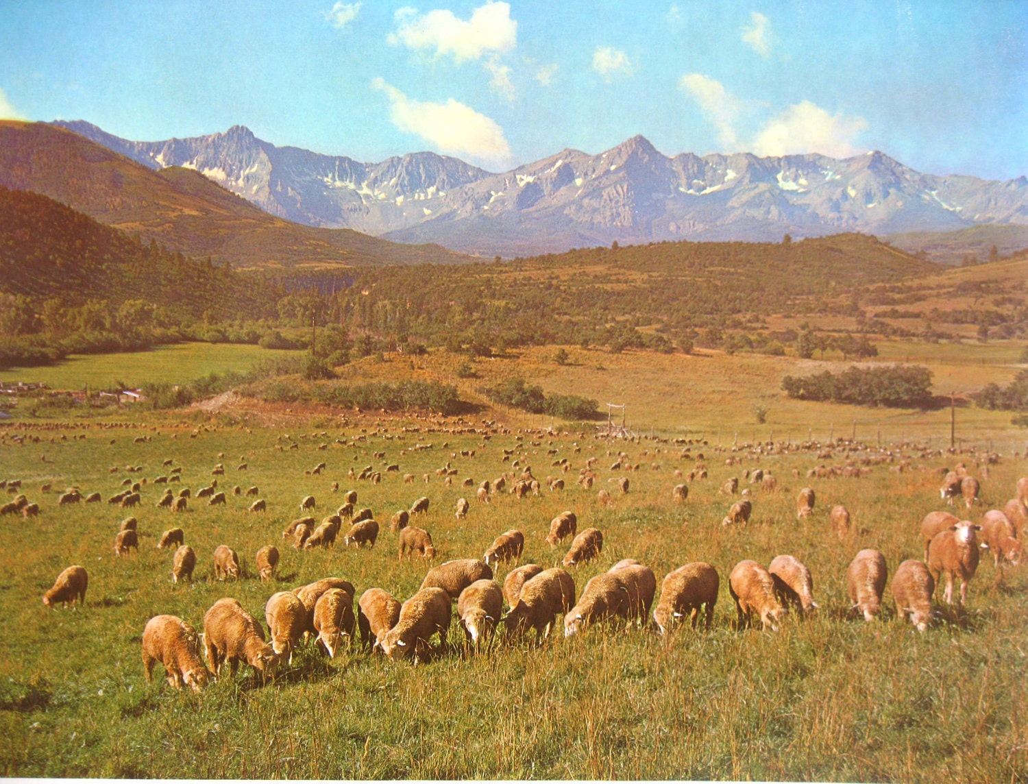 Vintage Poster Print Historic Nature and Agriculture Advertisement (Colorado) SHIPPING INCLUDED
