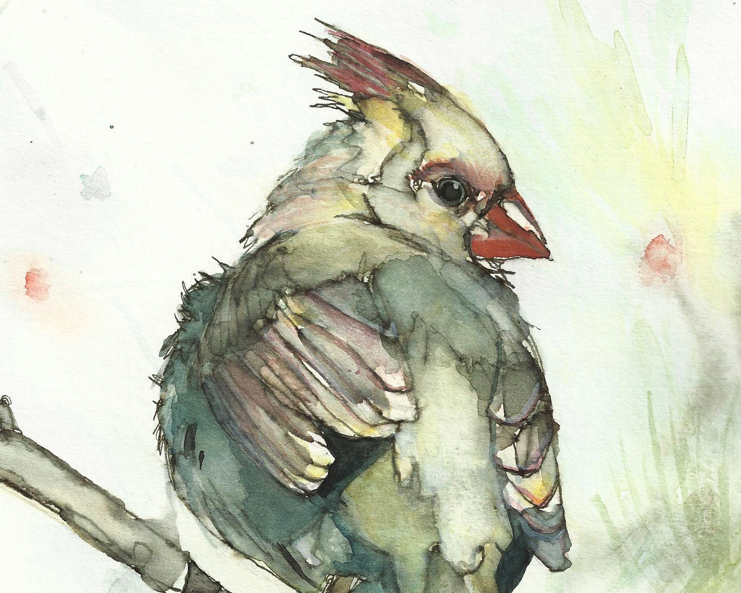 Art Print- Cardinal Bird Painting- Print From Original Watercolor and Ink on Paper - cleverfigstudios Art Print- Cardinal Bird Painting- Print From Original Watercolor and Ink on Paper - cleverfigstudios