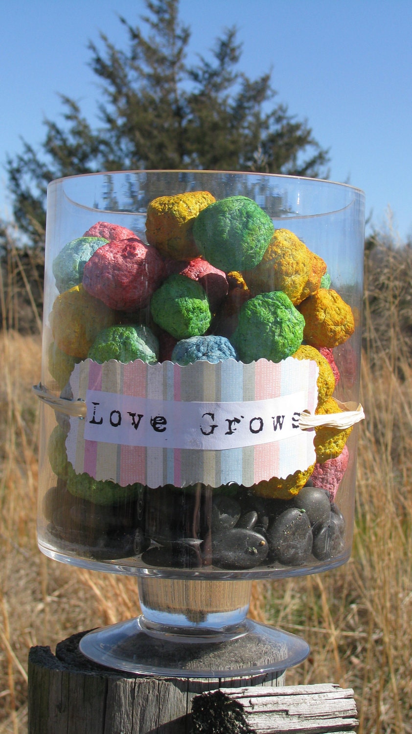 Seed Bomb Favors