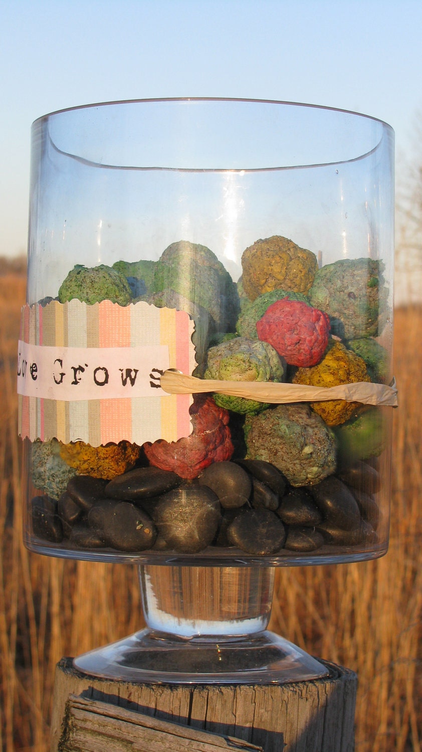 Seed Bomb Favors