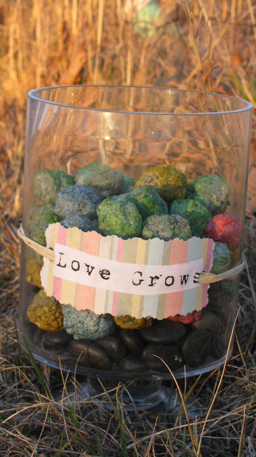 Seed Bomb Favors