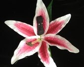 Tiki head on a beautiful white and pink silk lily hair clip