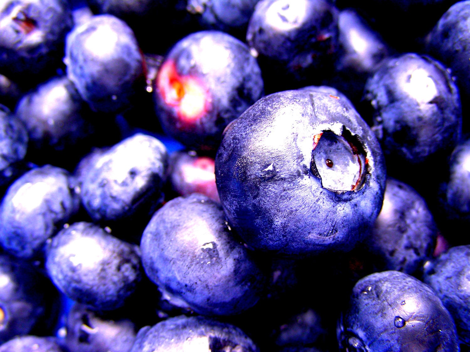 blueberries