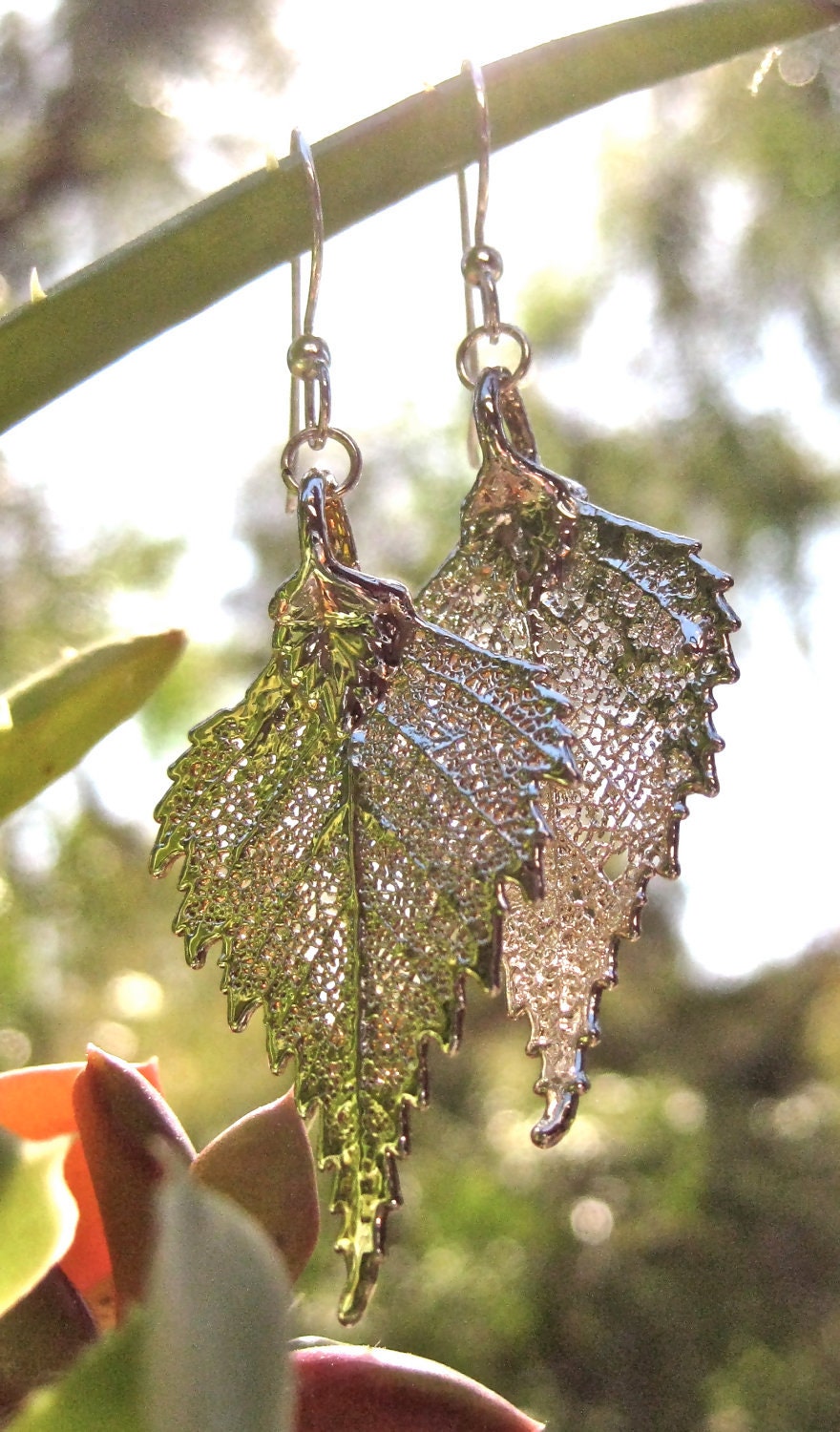 Silver Dipped Birch Leaf Filigree Earrings