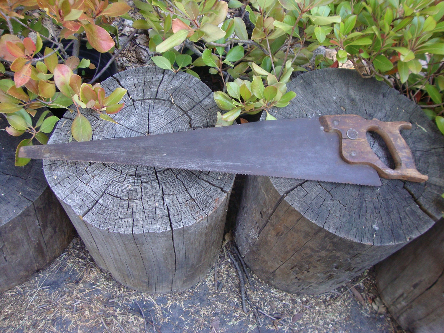 Rusty Wood Hand Saw