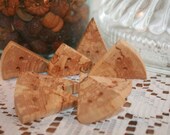 Wood Buttons 8 Spalted Wood Tree Branch Buttons Michigan Maple