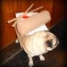 Egg Roll Dog Costume