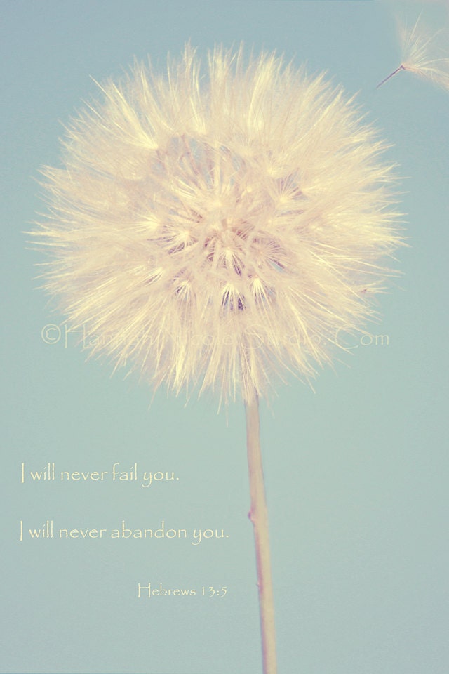 Make a Wish Dandelion  Nature Fine Art Photography Inspirational  Bible Verse  8x12 or 8x10  Print & Canvas available NOW ON SALE