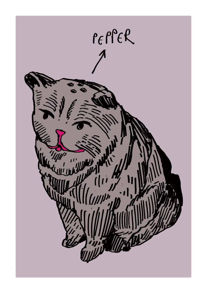 Pepper Pot Cat (digital illustration)