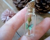 Teal Butterfly With Hints Of Brown Sitting Atop A Rose Bud Miniature Terrarium Necklace Glass Vial - Woodland Apothecary