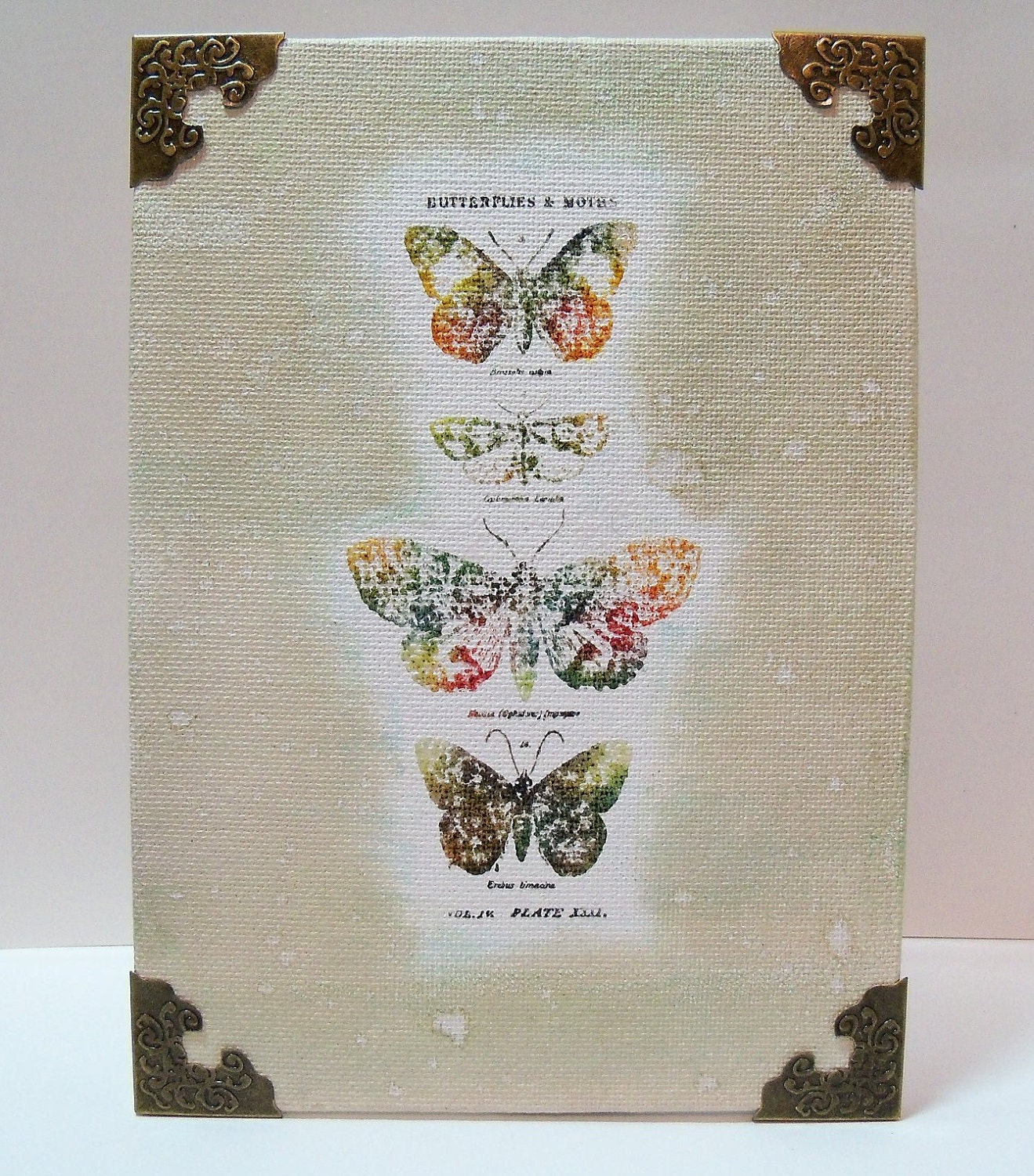 Butterfly Splash Canvas Easel Art