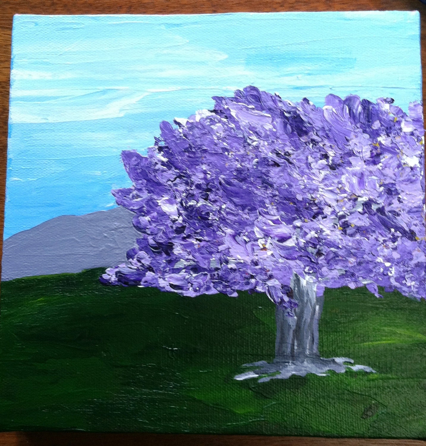 Upcountry Jacaranda