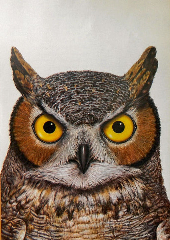 Owl Print - full-page vintage illustration for framing or altered art