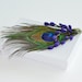 Peacock Feather Lavender Jewelry Gift Box Wedding
