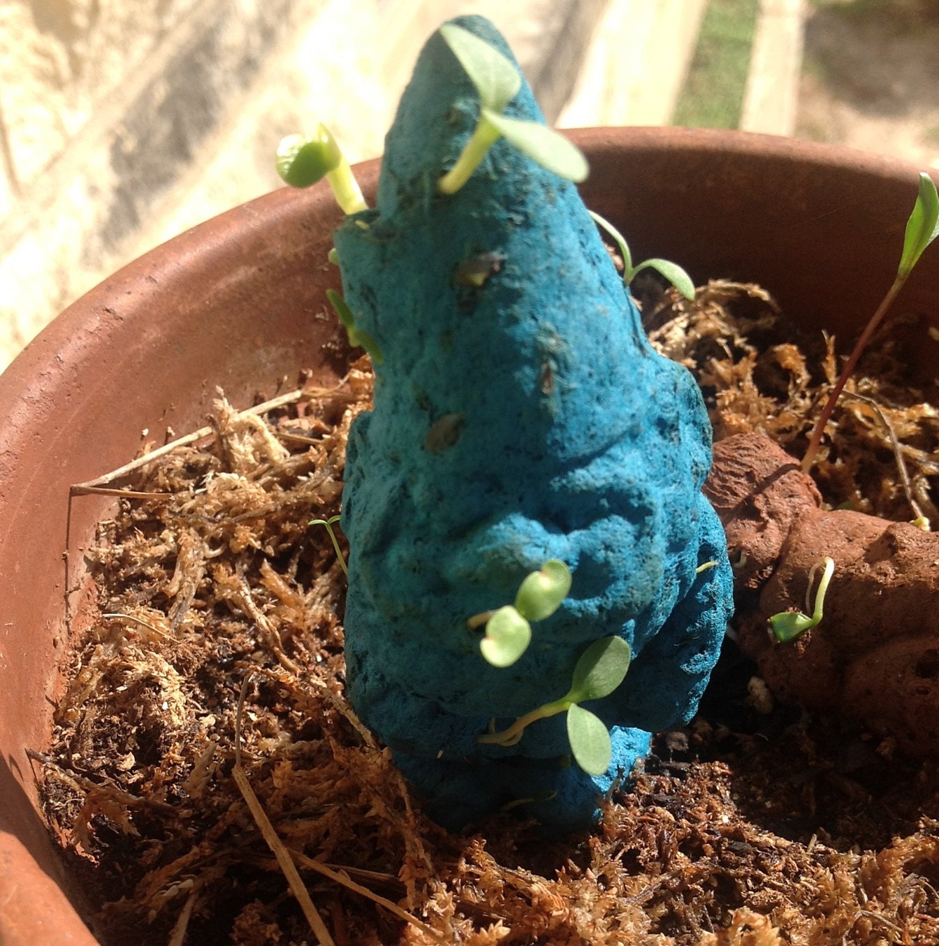 Mini Garden Gnome Seed Bomb